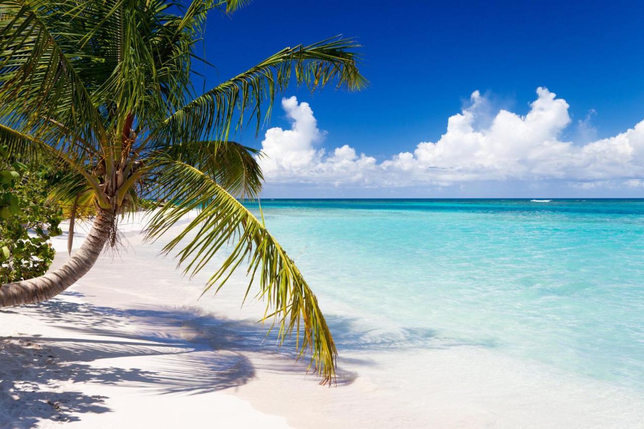 Вилла Chill Spot Ceiba Экстерьер фото