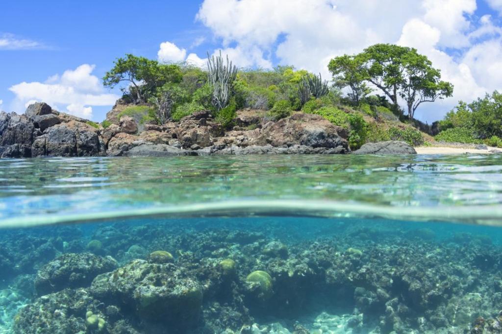 Вилла Chill Spot Ceiba Экстерьер фото